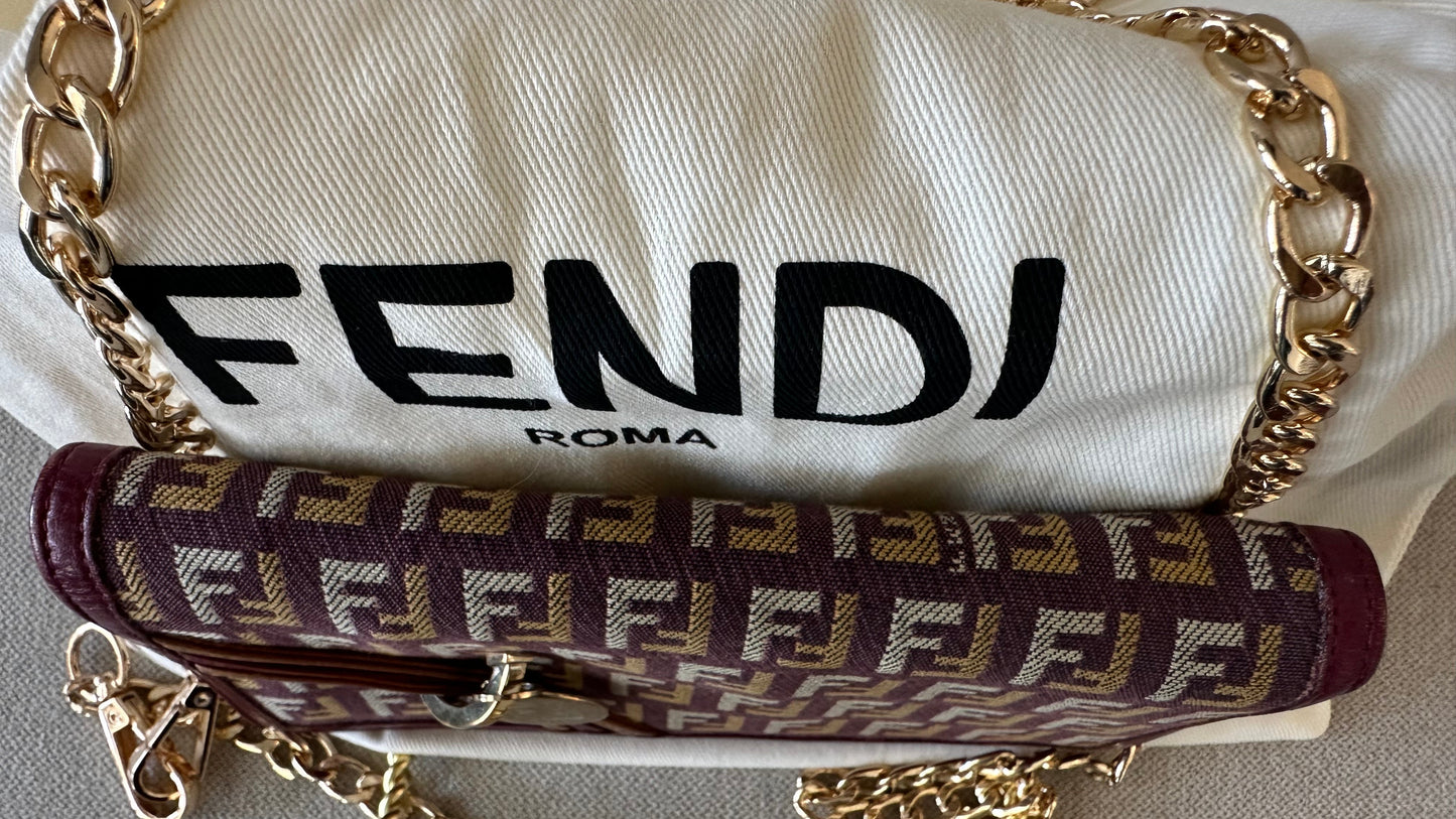 Fendi Zucchino Long wallet with Unbranded chain in multicolored leather and canvas
