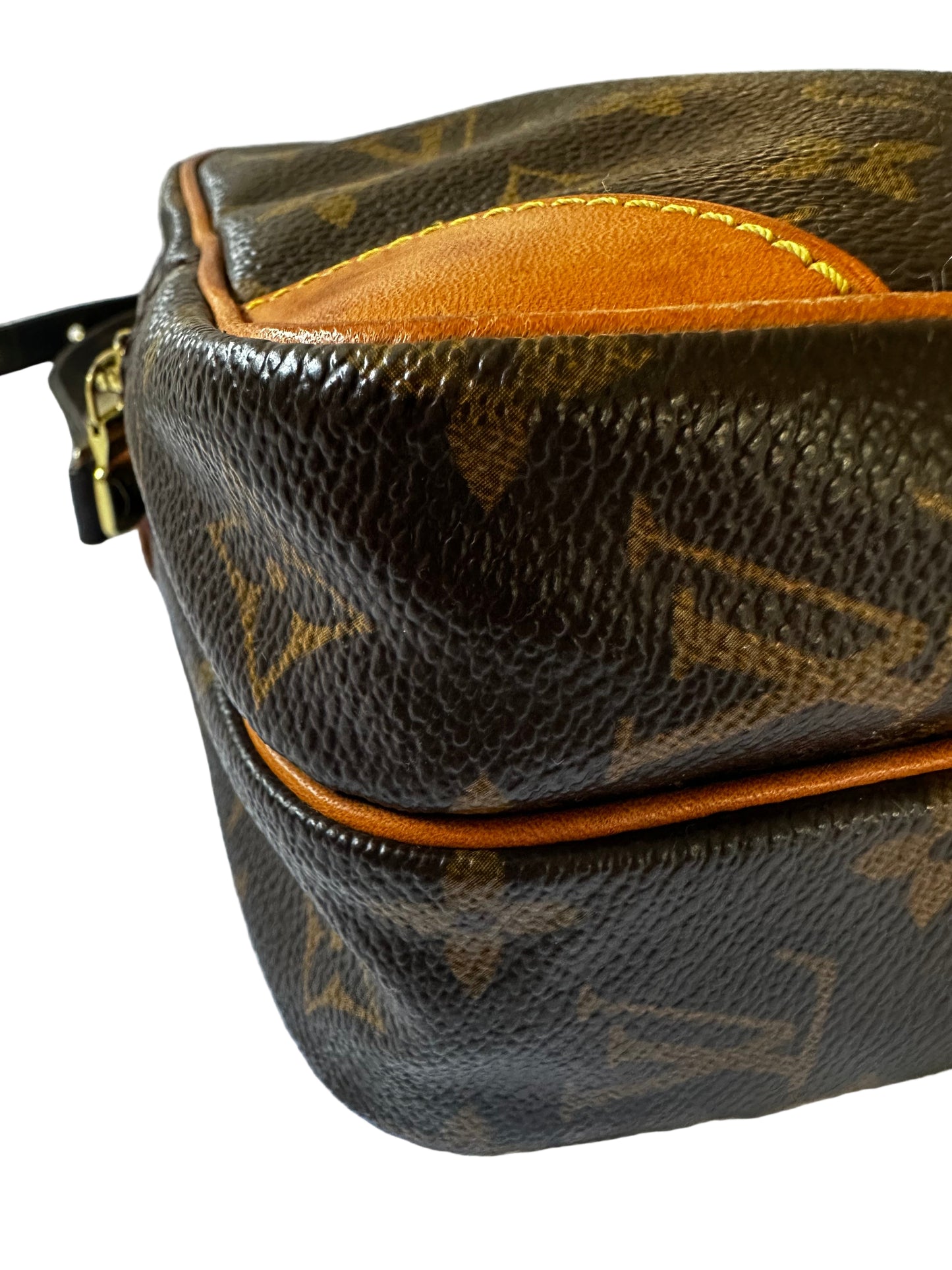 Louis Vuitton Amazon leather handbag
