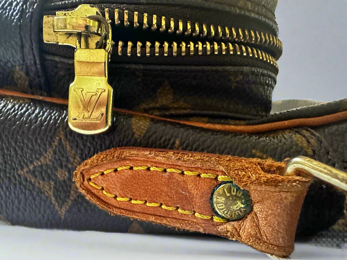 Louis Vuitton Amazon leather handbag