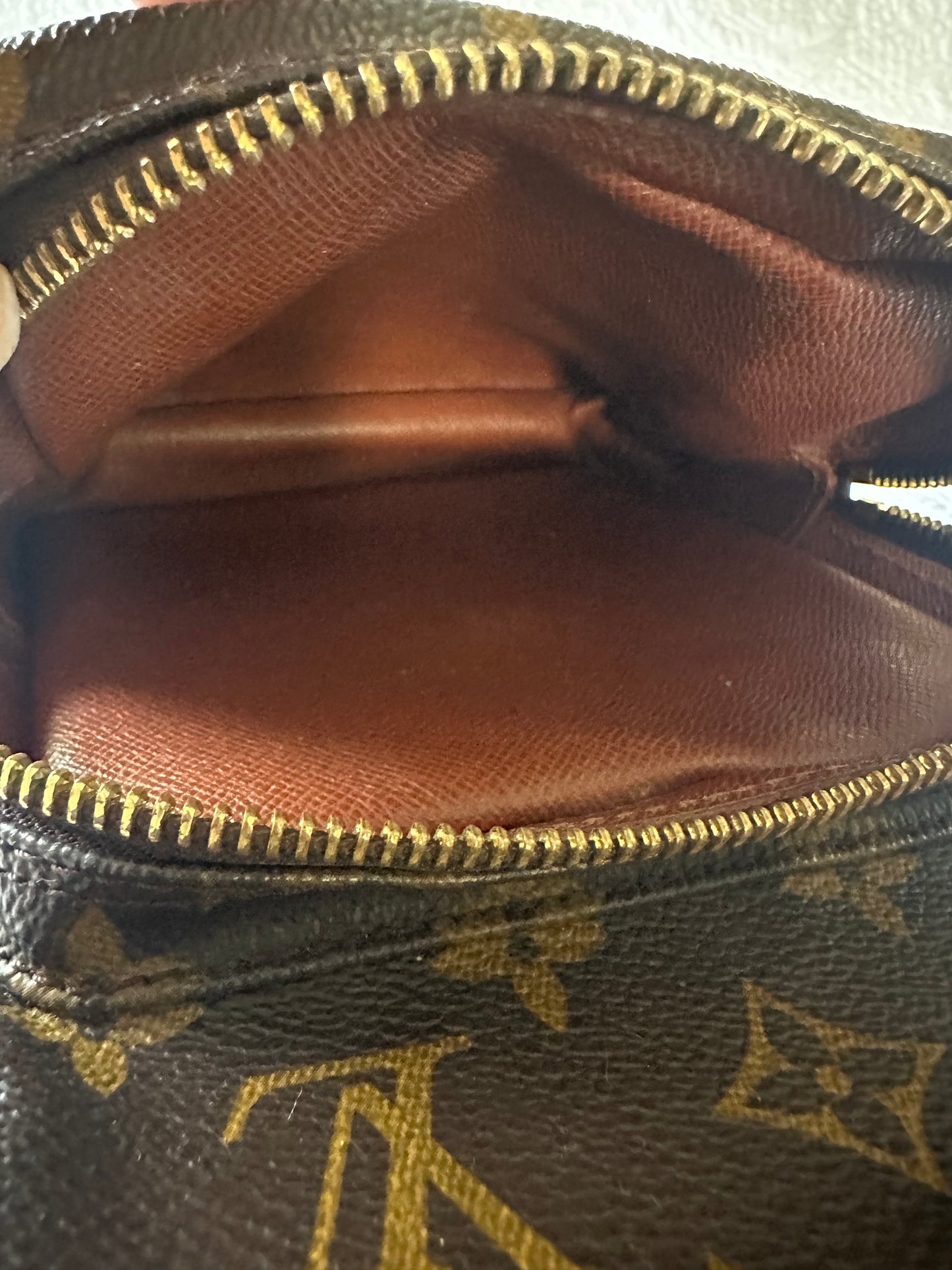 Louis Vuitton Amazon leather handbag