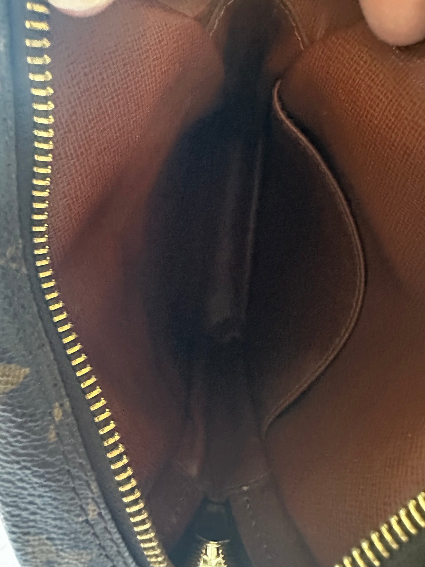 Louis Vuitton Amazon leather handbag